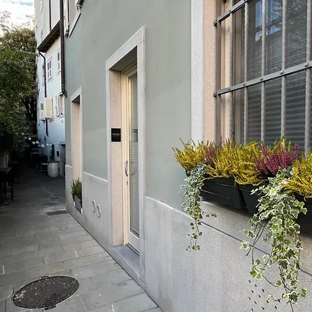 Habemus Loft -the Circle Raffinato Ed Esclusivo Art-loft Open Space Nel Cuore Storico Pedonale Di