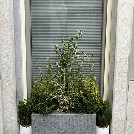 Apartmán Habemus Loft -the Circle Raffinato Ed Esclusivo Art-loft Open Space Nel Cuore Storico Pedonale Di Terst